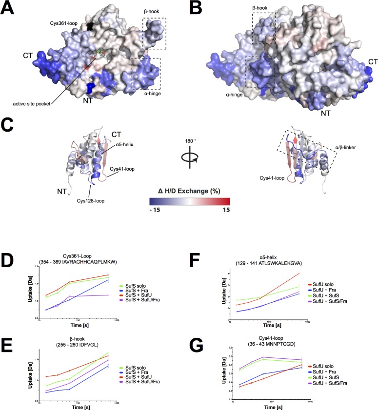 Fig 8