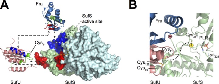 Fig 10