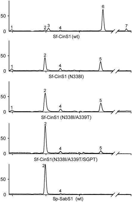 Figure 6.