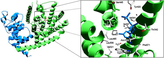 Figure 2.