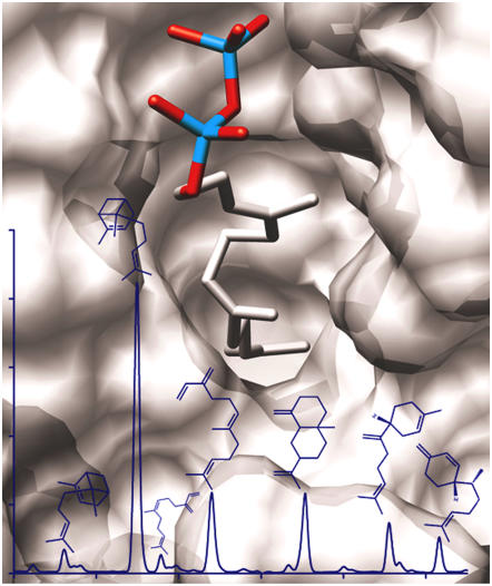 Figure 7.