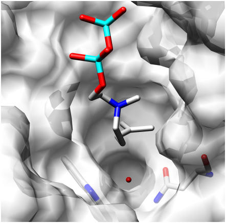 Figure 4.