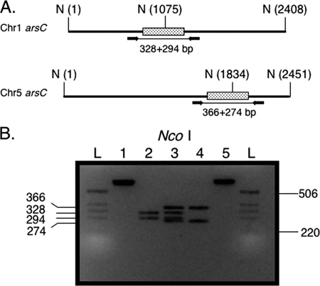 FIG. 1.