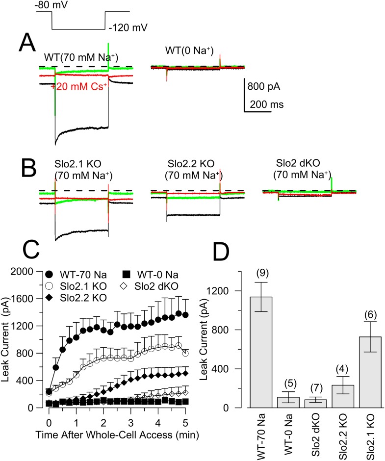 Figure 6—figure supplement 5.