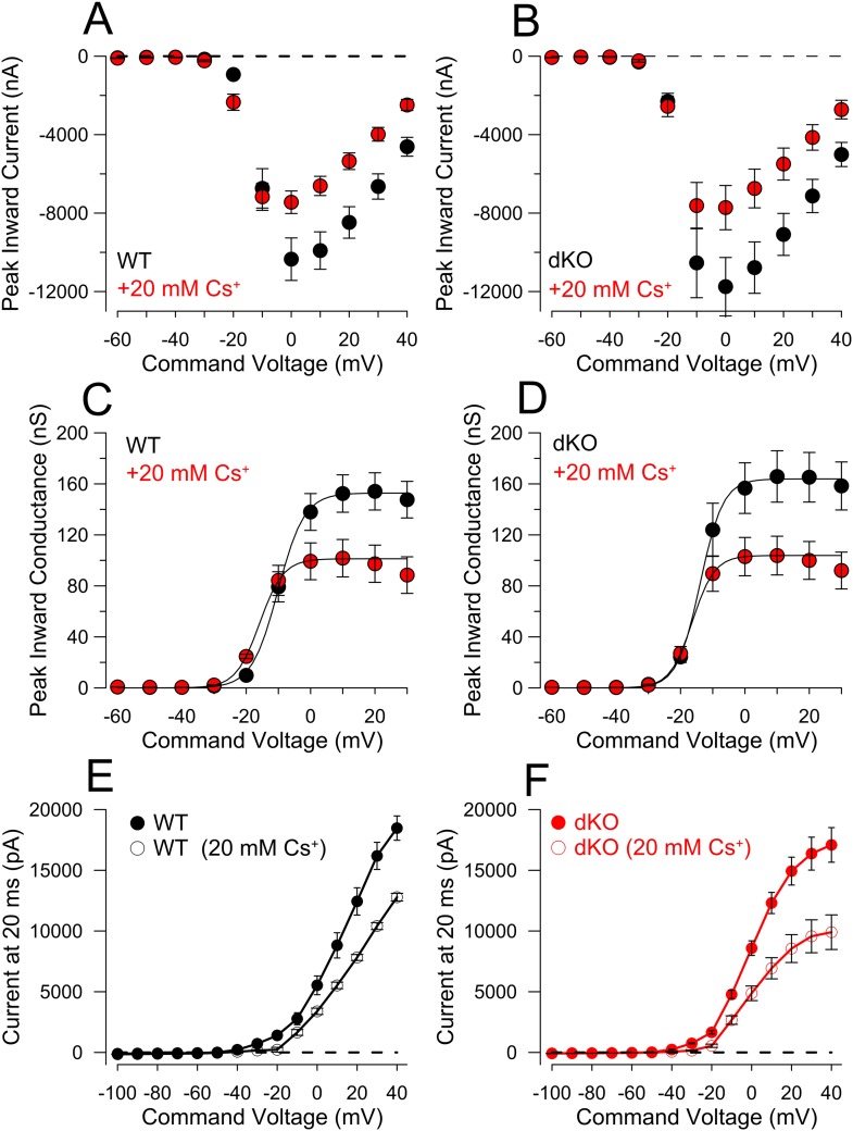 Figure 9—figure supplement 2.