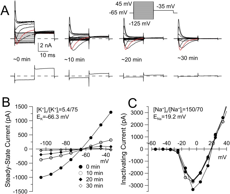 Figure 6—figure supplement 1.