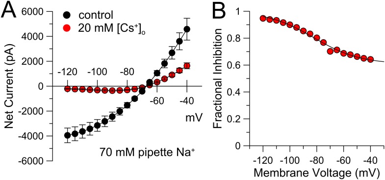 Figure 6—figure supplement 2.