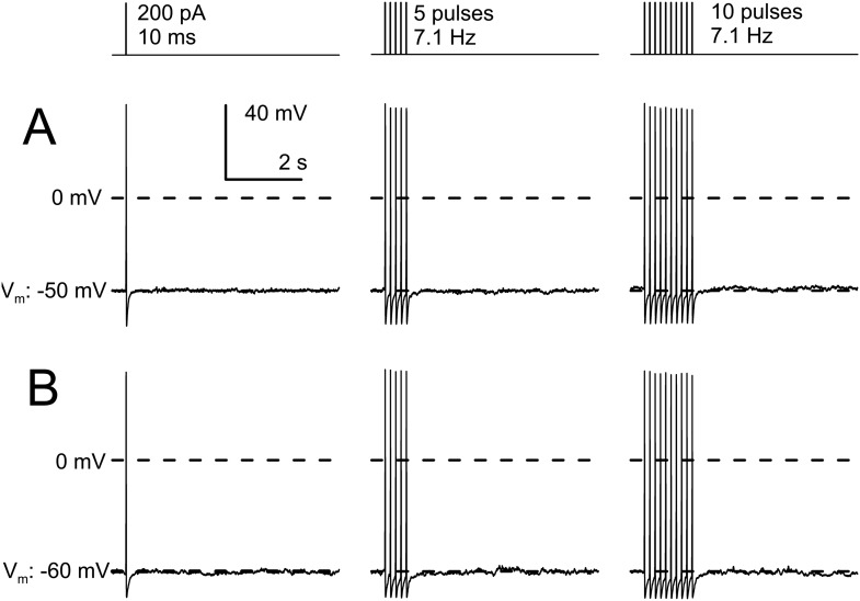 Figure 10.