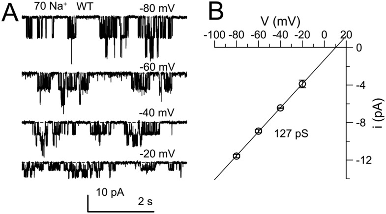 Figure 6—figure supplement 3.