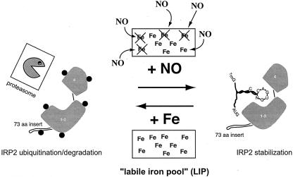 FIG. 8.