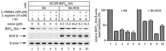 FIG. 7.