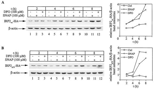 FIG. 5.