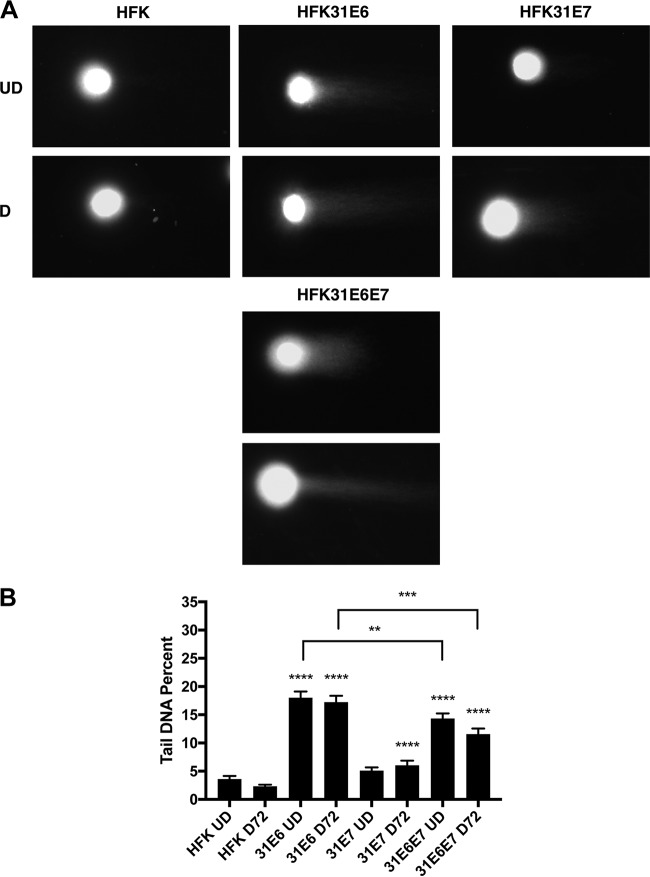 FIG 2 