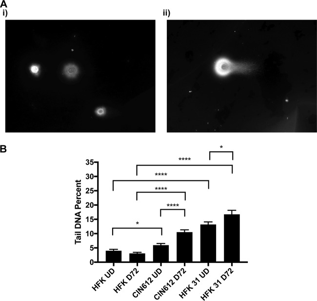 FIG 1 