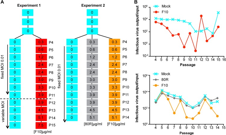 FIG 1