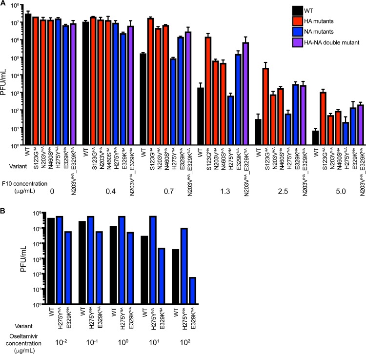 FIG 3