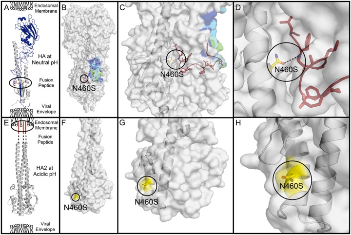 FIG 6