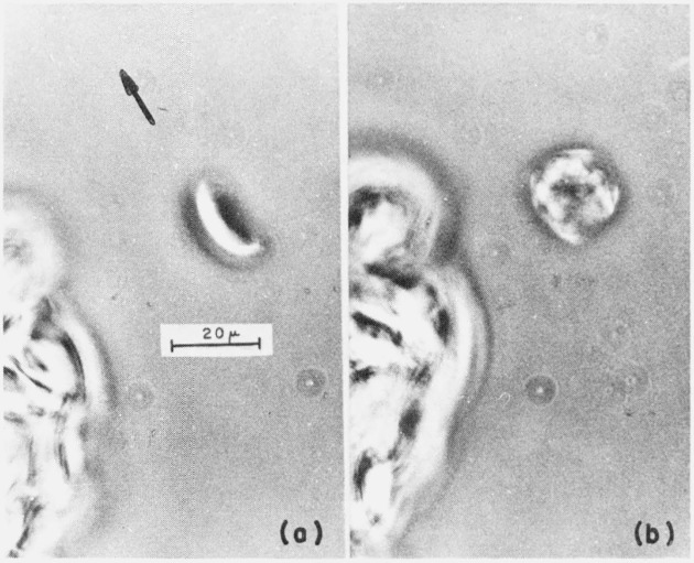 Figure 12.