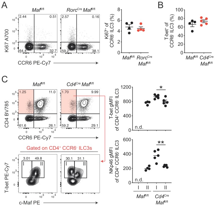 Figure 2—figure supplement 1.