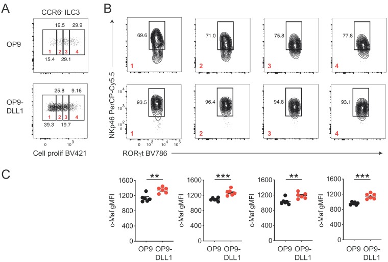 Figure 3—figure supplement 3.