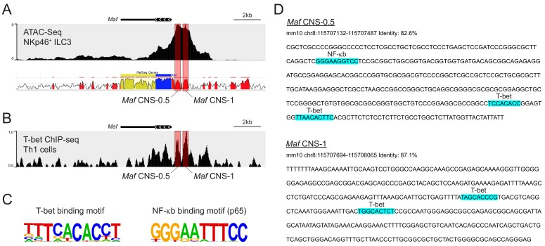 Figure 3—figure supplement 1.