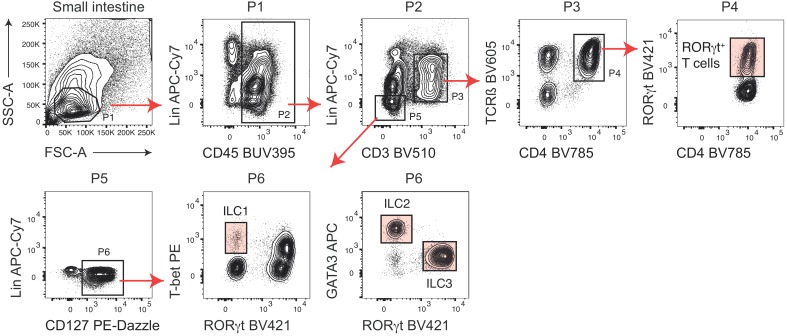 Figure 1—figure supplement 1.