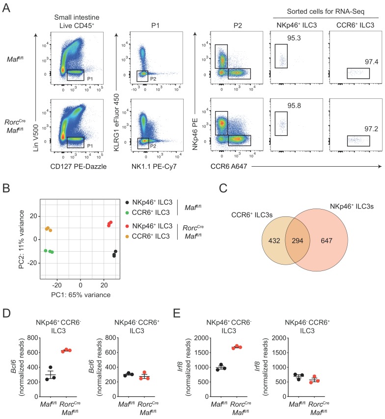 Figure 2—figure supplement 2.