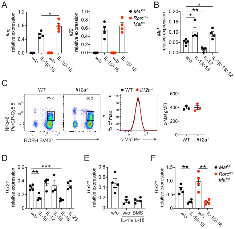 Figure 3—figure supplement 2.