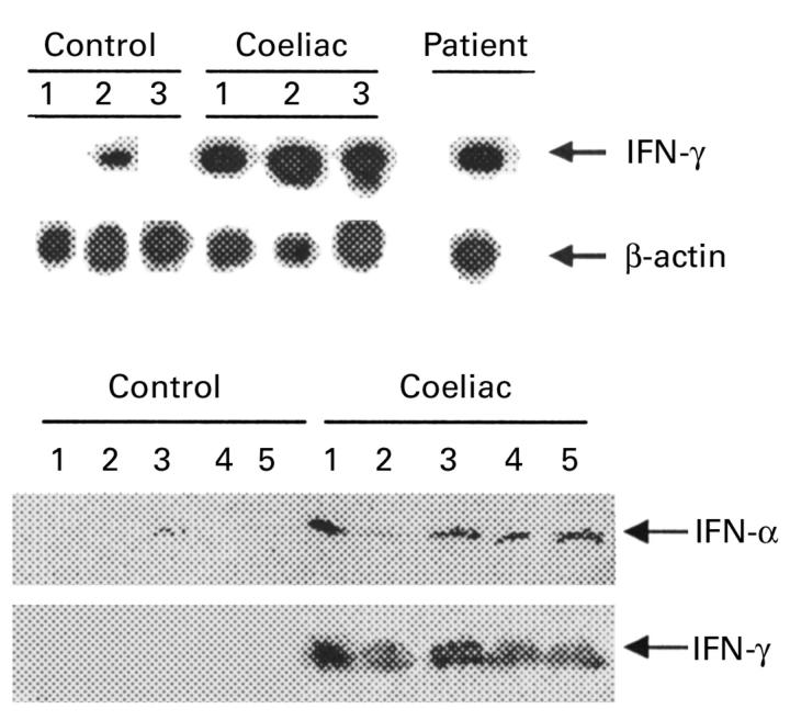 Figure 2  