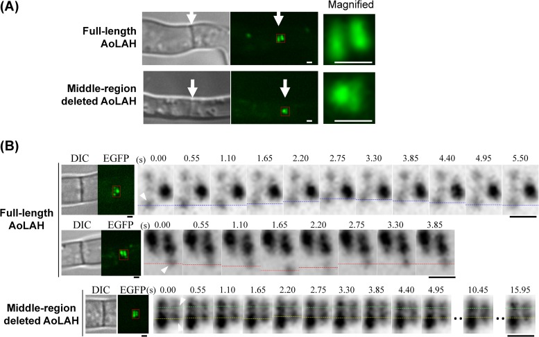 FIG 6