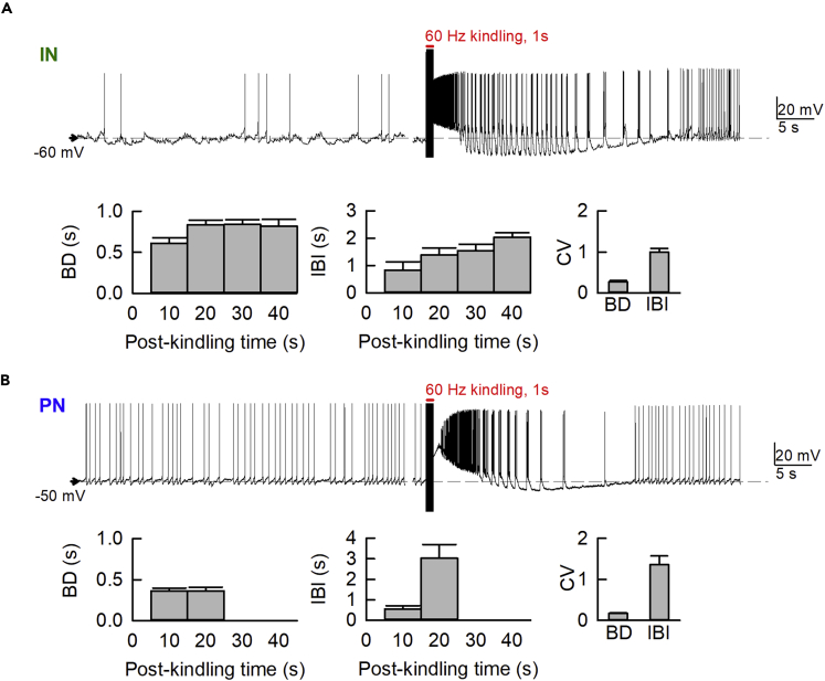 Figure 5