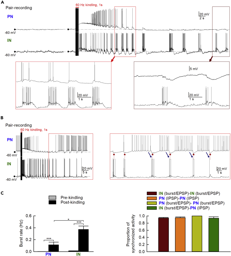 Figure 4