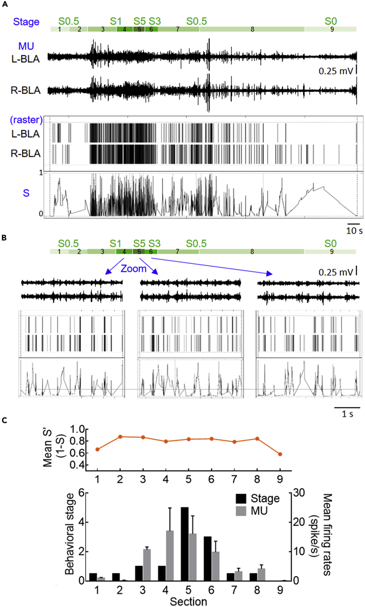 Figure 6