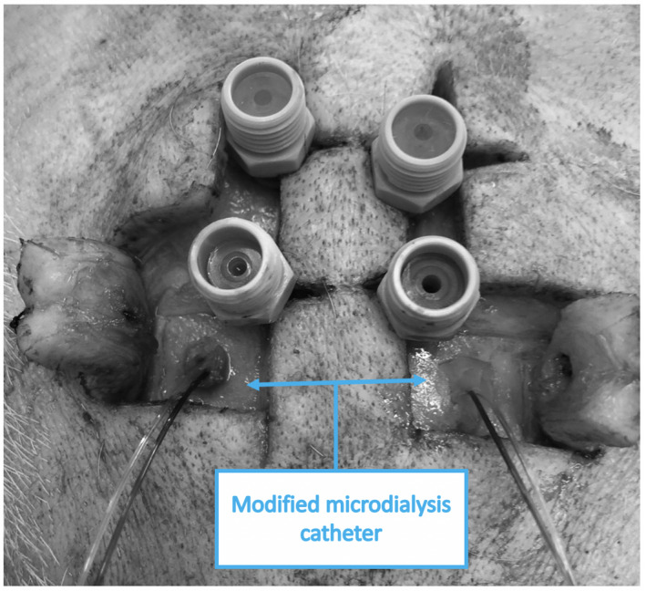 FIGURE 2