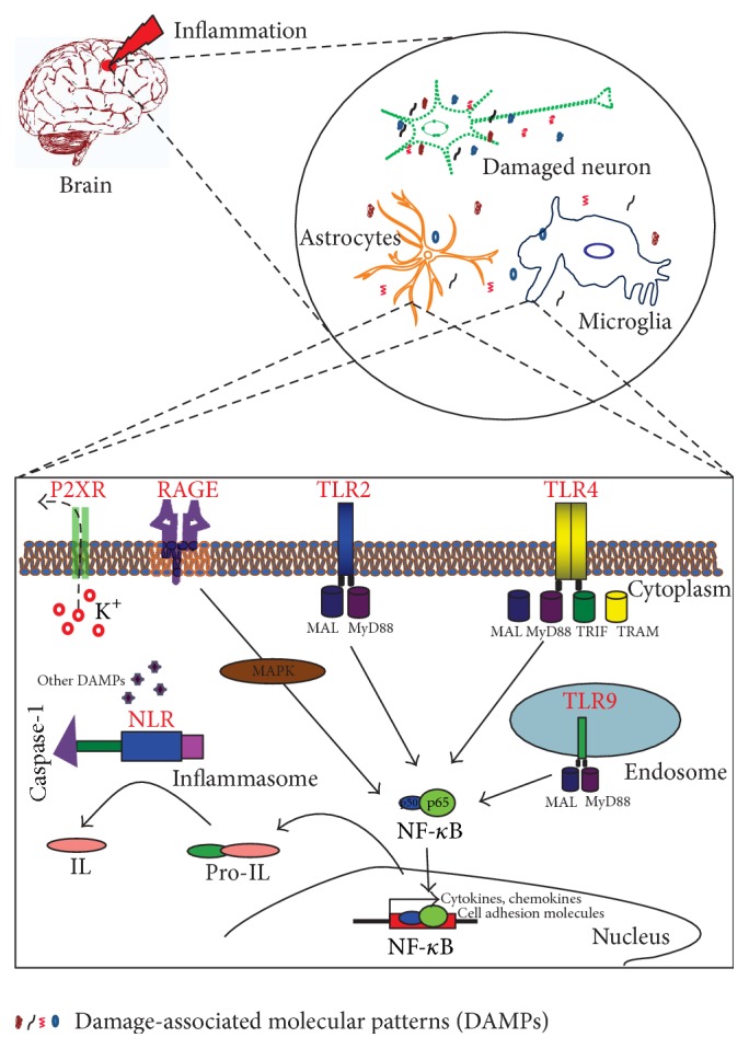 Figure 4