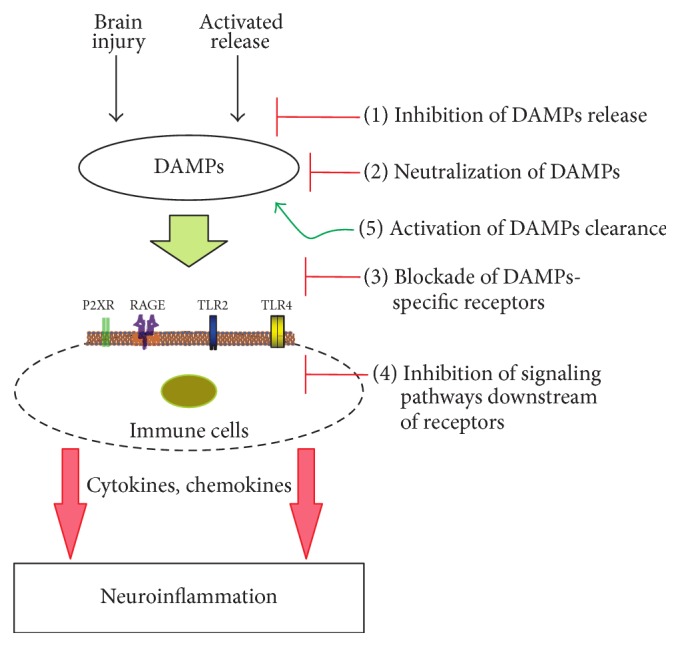 Figure 5