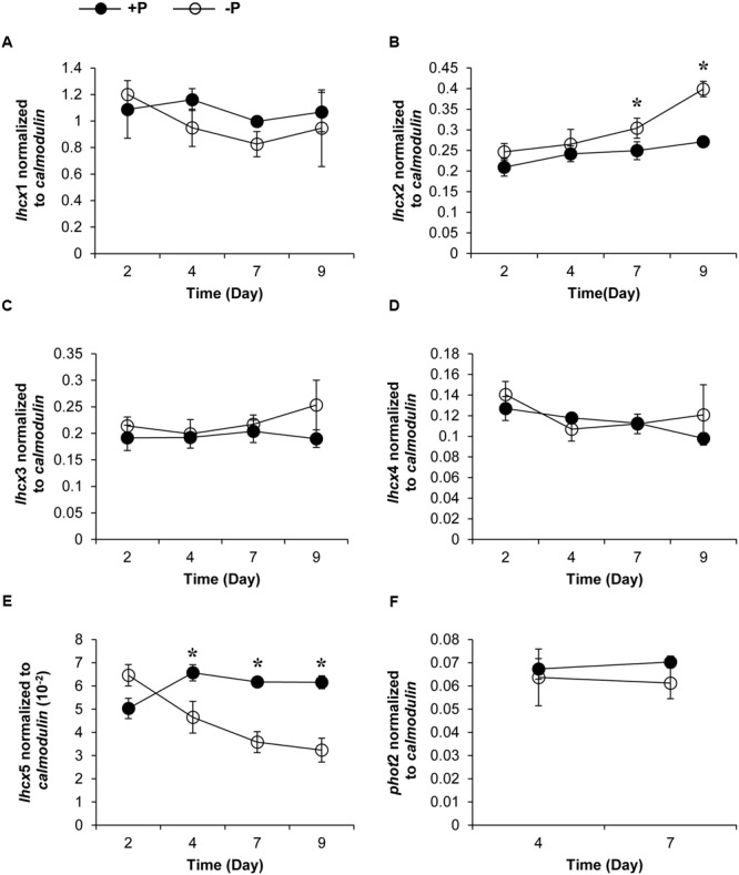 FIGURE 3