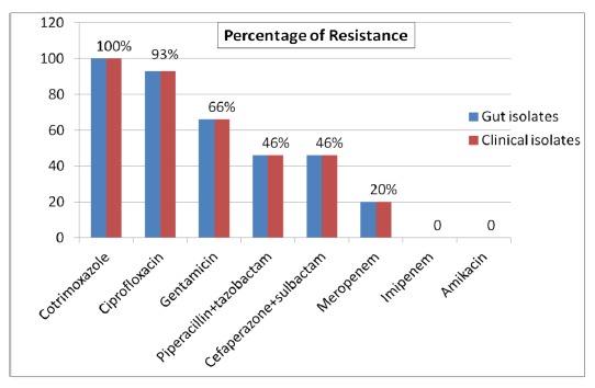 Figure 2: Antimicrobial resistance profiles of 15 gut isolates in comparison to the clinical isolates