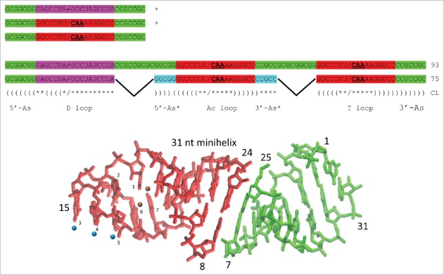 Figure 3.