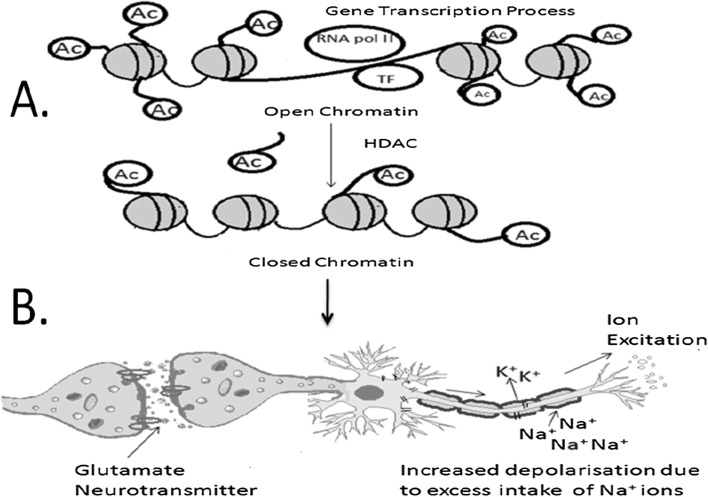 Fig. 2