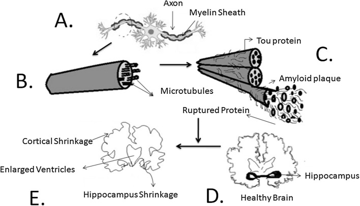 Fig. 3