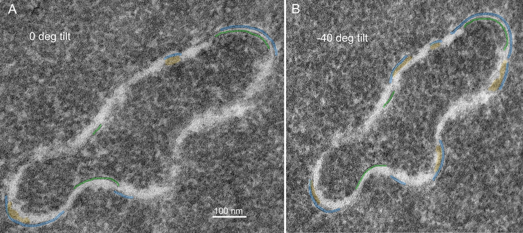 Fig. 7