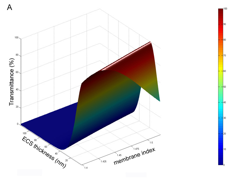 Fig. 10