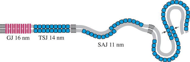 Fig. 11