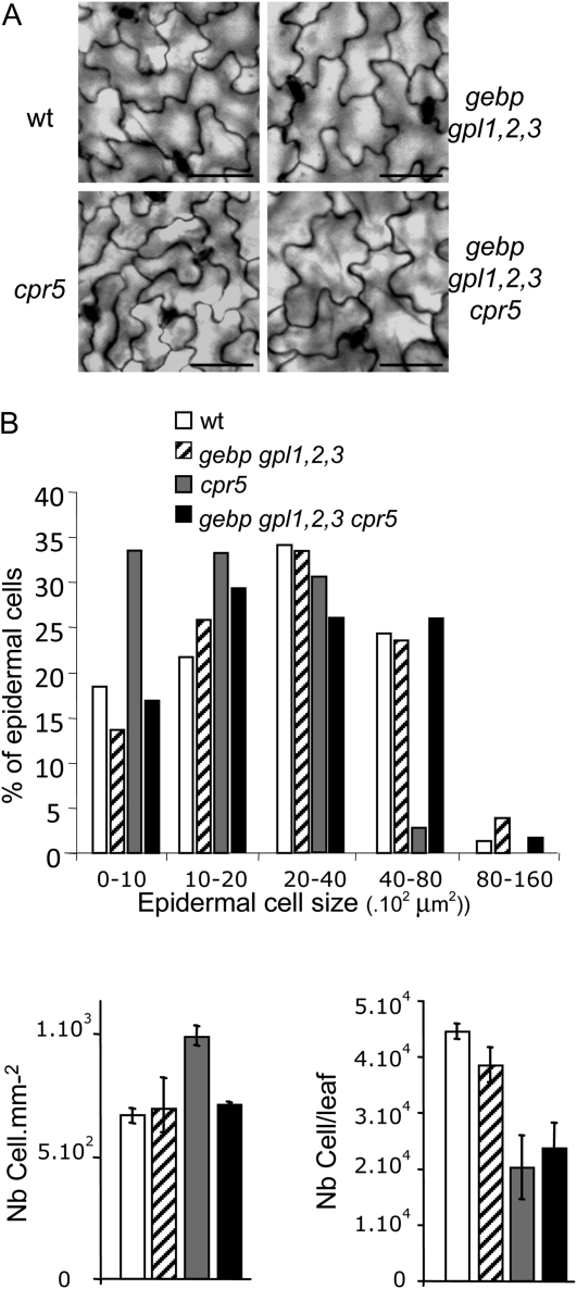 Figure 5.