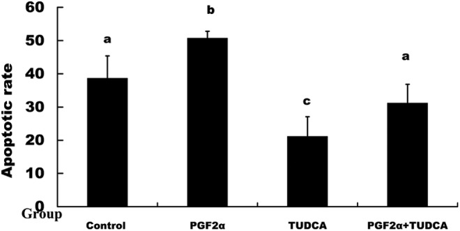 Figure 11.