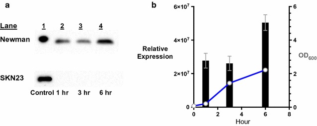 Fig. 4