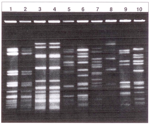 Figure 1)