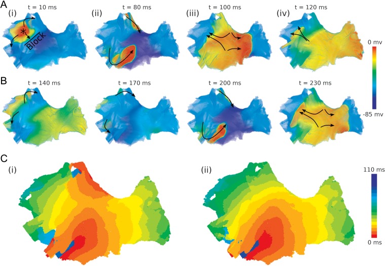 Figure 3