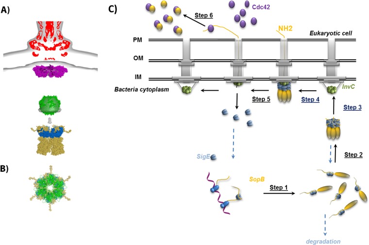 FIG 6